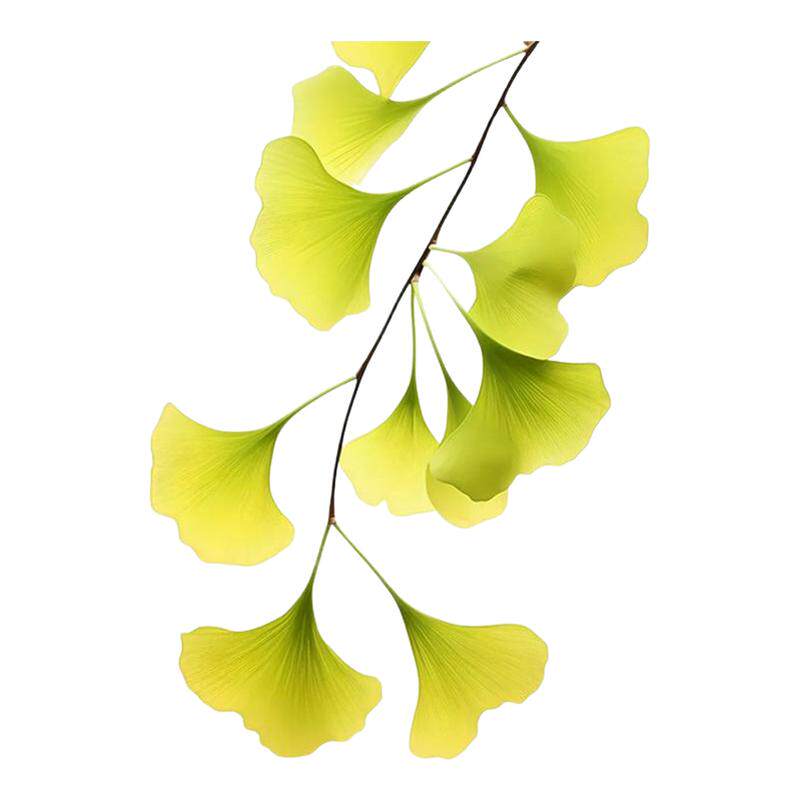 银杏叶防水植物花卉简约透明贴纸