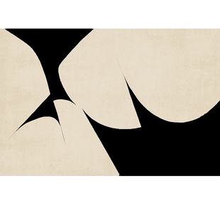 法式黑白线条地毯客厅轻奢极简卧室网红床边毯ins设计师耐脏地垫