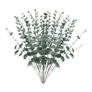 仿真绿植尤加利叶桉树叶欧式金钱叶枝假花摆件花束插花北欧风装饰
