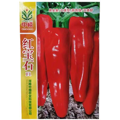 中禧红宝石辣椒种子红辣椒牛角型