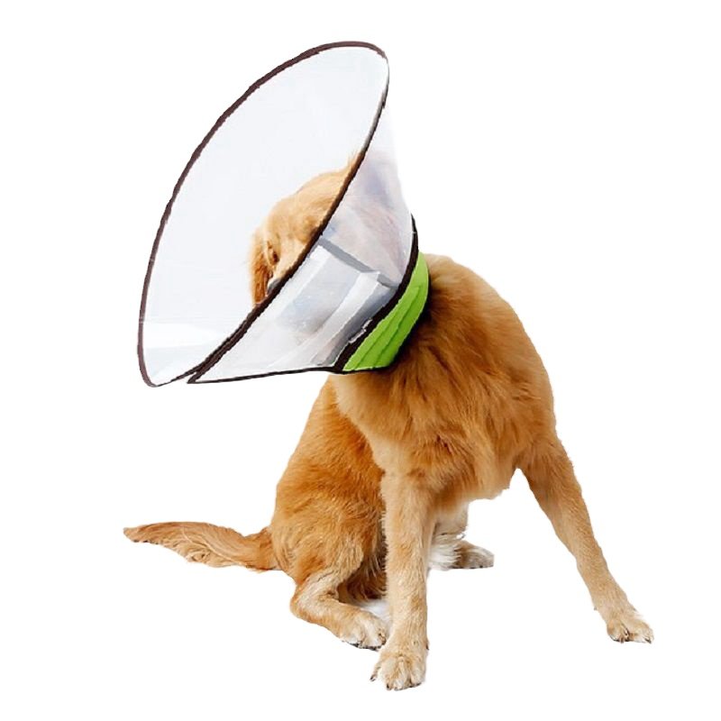狗狗伊丽莎白圈加深大型犬中型犬金毛阿拉斯加大狗头套防舔可调节