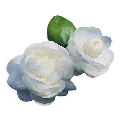 白茉莉浓香花卉绿植室内外花期长