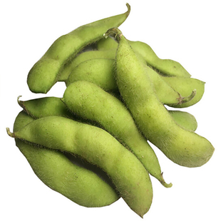 高产鲜食毛豆种子特大早熟黄豆种籽大豆青豆阳台春季四季蔬菜种孑