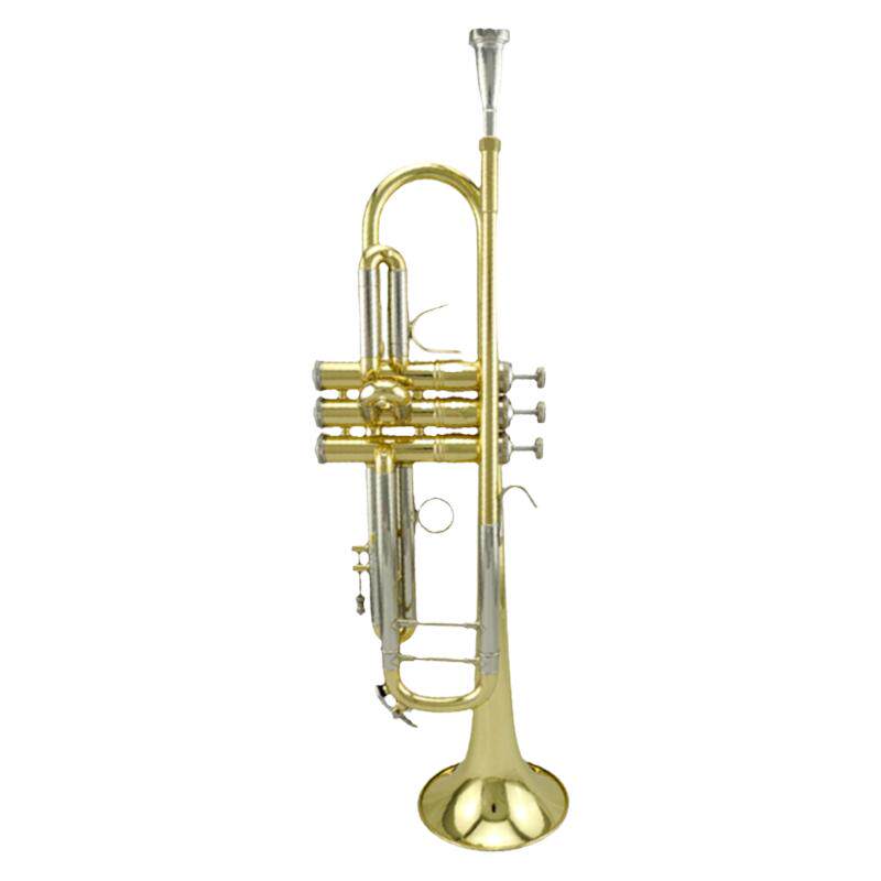 星海牌新品高级小号310型