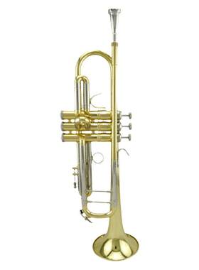 星海牌新品高级小号310型