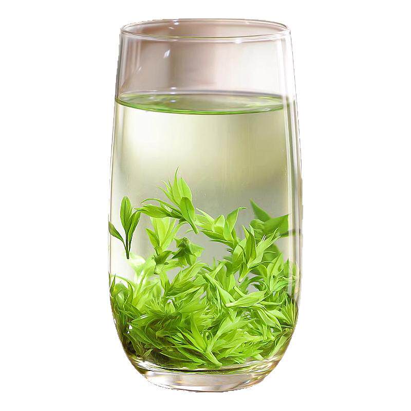小叶苦丁茶嫩芽青山绿水海南特产