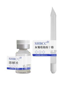 灰葡萄孢冻干粉冻干粉SHBCC