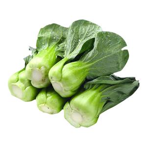新鲜小青菜 品种随机发货新鲜本地青菜
