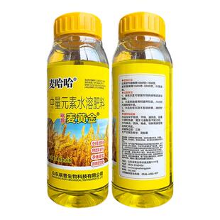麦黄金小麦专用叶面肥返青肥灌浆肥 籽粒饱满 促分蘖缩节水溶肥料