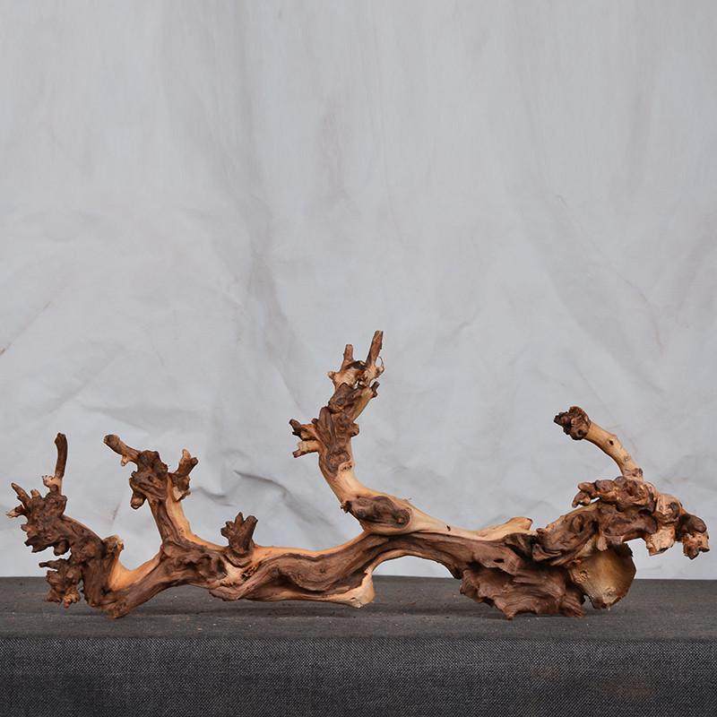 小号沉木珊瑚精品天然鱼缸造景免煮枯木树根杜鹃根紫柚水陆雨林缸