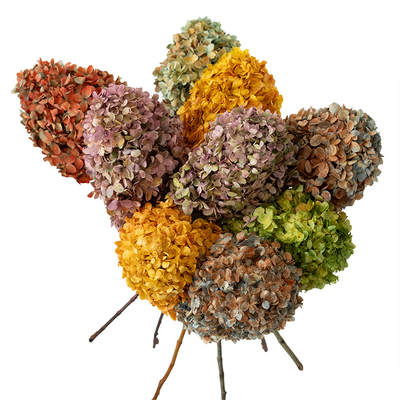 北花西舍绣球花diy材料包