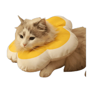 猫咪伊丽莎白圈脖套绝育幼猫伊利沙白项圈脖圈宠物圈狗狗防舔神器