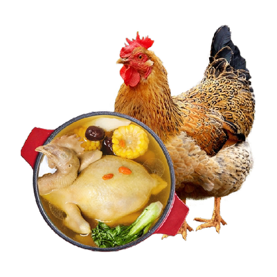 温氏食品土鸡散养慢养鸡肉