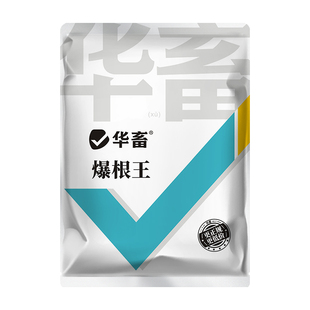 华畜爆根王轮叶黑藻伊乐藻水草生根肥粉鱼池塘改底改善水质长根宝