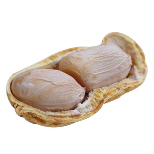 2025新水煮花生原味农家红皮蒜香五香奶油盐咸干带壳奶香健康袋装