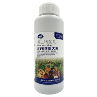 珺颜地下根茎膨大素快速膨大茎秆粗壮山药土豆马铃薯葱姜蒜等通用