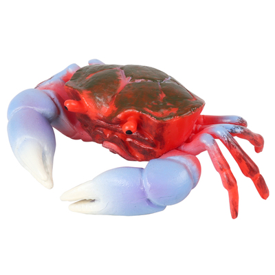 林畅模玩隆背张口蟹模型仿真动物