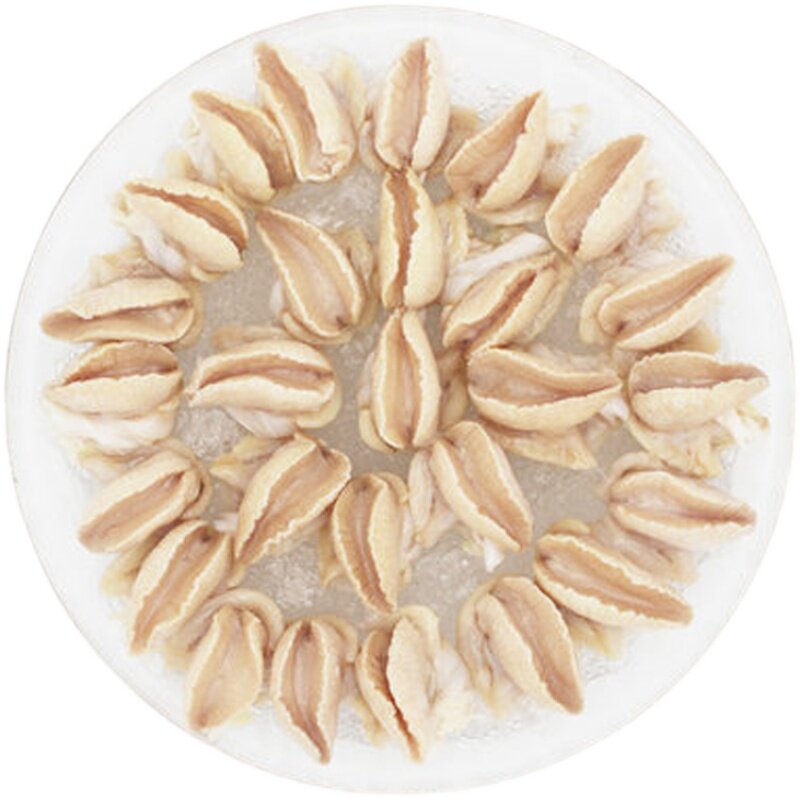 白玉蜗牛波艮第烧烤食材生鲜