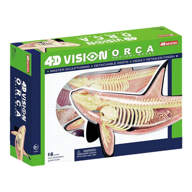 4DMASTER鲸鱼骨架模型