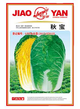 秋宝黄芯秋播大白菜种子
