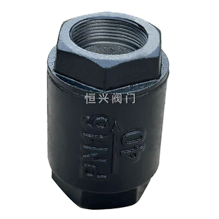 H12T-16丝扣立式止回阀内螺纹止回 单向逆止阀DN15 20 25 40 50