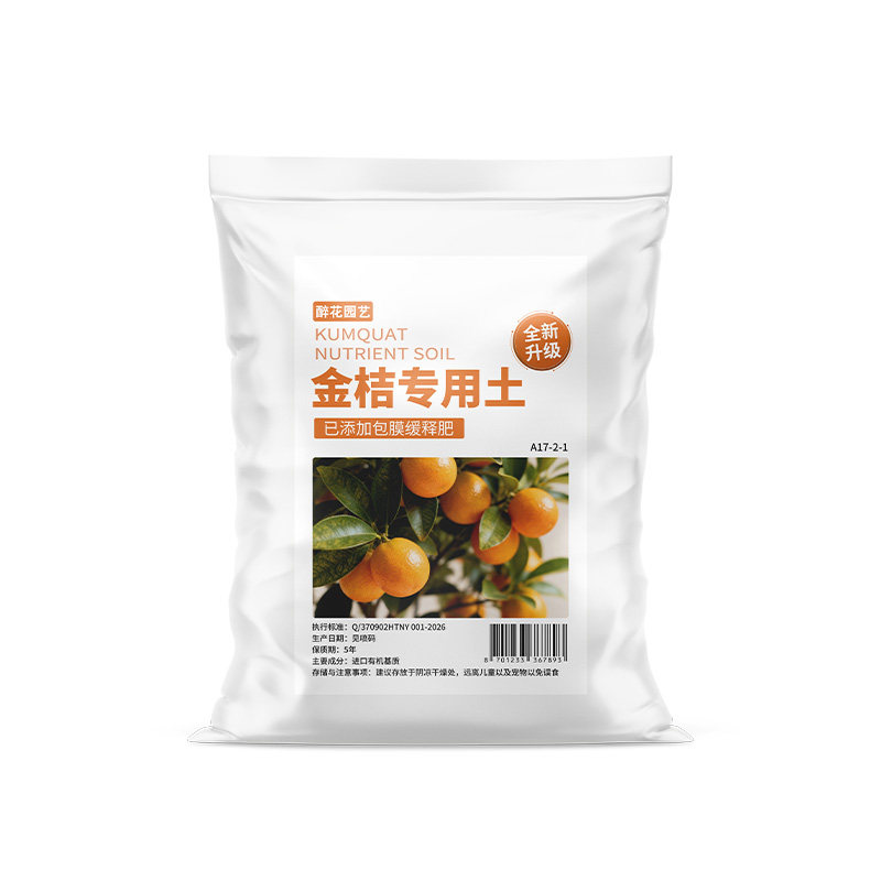 金桔专用土广西甘草脆皮金桔树苗