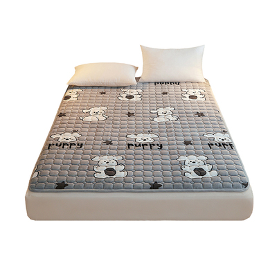 A类母婴级抗菌保暖牛奶绒床垫