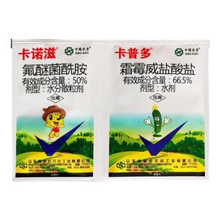 卡诺滋组合哈雷精甲霜猛锌黄瓜霜霉病专用药晚疫病杀菌剂农药大全