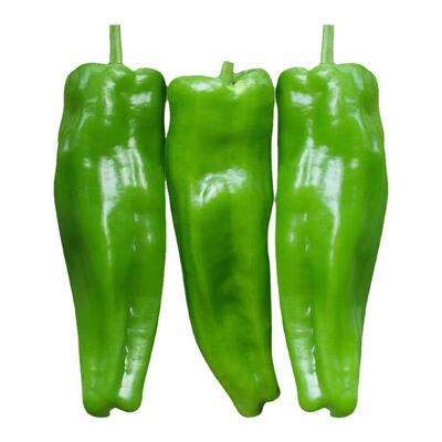 薄皮椒种子青椒不辣四季播蔬菜
