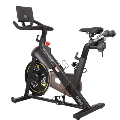 ICON爱康动感单车家用静音健身车