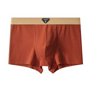 俞兆林纯棉男士内裤2025新款高档青少年男生四角平角裤衩运动男款