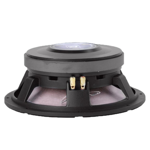 包邮雷顿喇叭12寸 220磁 100芯 专业舞台大功率演出婚庆专用喇叭