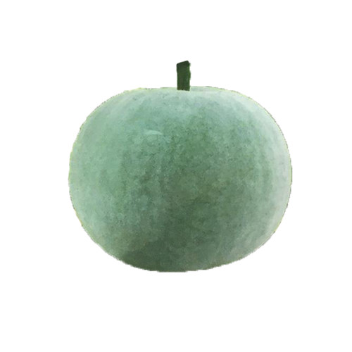 小玲珑香冬瓜种子 香芋味冬瓜种子 圆冬瓜种小冬瓜种蔬菜种子