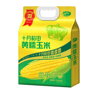 十月稻田粗粮轻食黄糯白糯黑糯玉米棒香甜糯东北黏苞米早餐食材