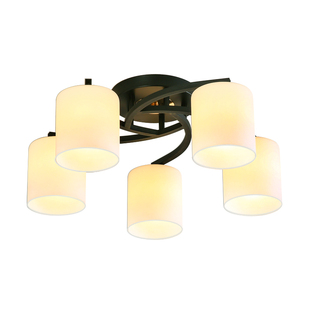 餐厅吊灯2025年新款现代简约客厅主灯具大全低小户型灯泡款卧室灯