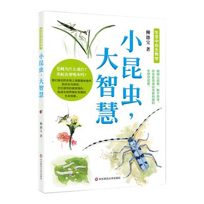 【11-14岁】小昆虫，大智慧 身边无数有趣的生物学现象 大人孩子都可以读的科普读物 认识自然 探索自然 正版 华东师范大学出版社
