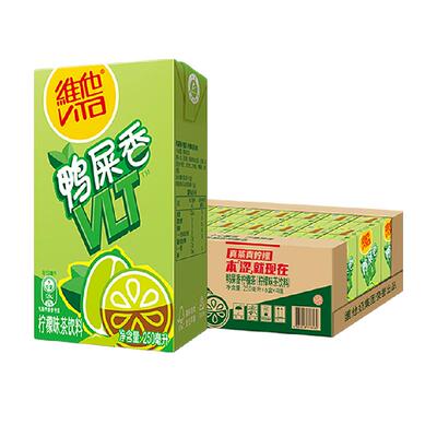 维他鸭屎香柠檬茶饮料饮品聚餐