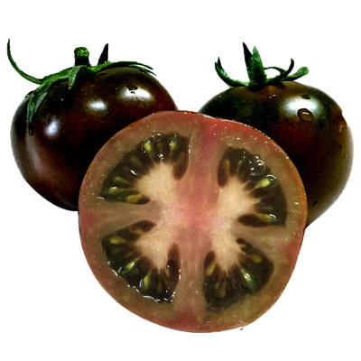 番茄种子苗紫黑色西红柿