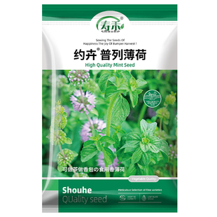 普列薄荷种子种籽可食用室内植物驱蚊草绿植盆栽花卉薄荷苗种孑