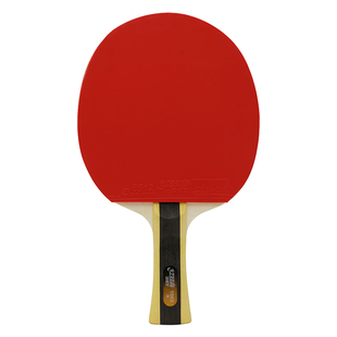 红双喜123星乒乓球拍一星初学长柄横拍二三星娱乐短柄直拍单双怕