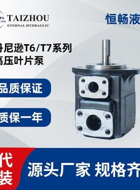 厂家液压油泵DENISON丹尼逊T6/T7系列柱销式叶片泵T6C T6E T6D