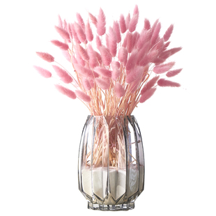 网红花束兔尾草干花装饰ins干花花束风干花束真花家居摆设干枝花