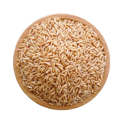 云南优质燕麦米2025年新米农家糙米五谷杂粮胚芽生米燕麦粒粗粮