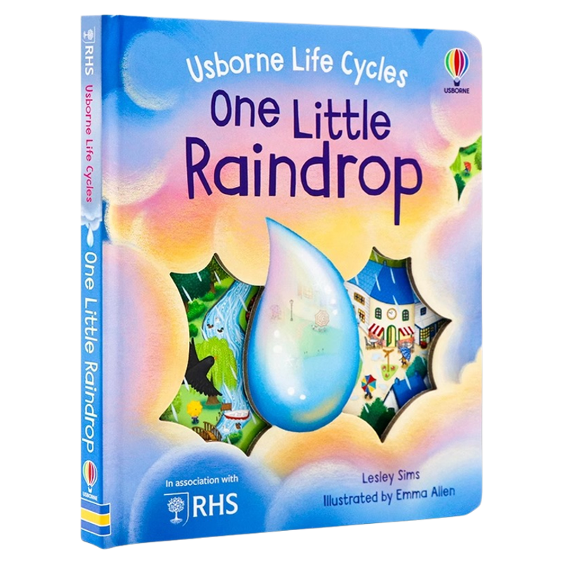 Usborne 生命周期系列 一个小雨滴 英文原版绘本 Life Cycles: One Little Raindrop 儿童英语阅读图画书 Lesley Sims精美插画