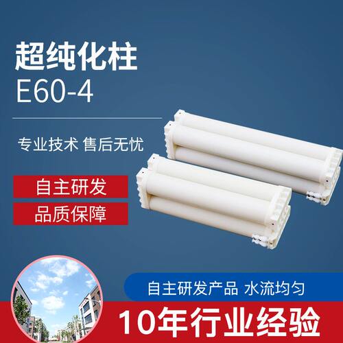 纯离子交换柱E60-4过滤芯 厂家定制超纯化柱树脂柱 水处理过滤器