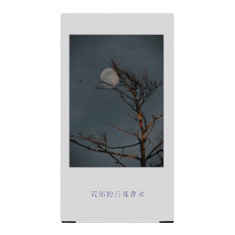 荒郊的月亮│清冷静谧│雪松海水