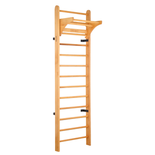 肋木架实木家用多功能引体向上架单杠双杠室内训练康复架拉伸训练