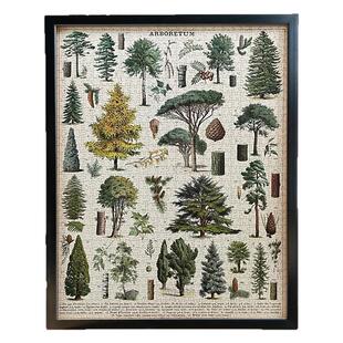 Cavallini植物花卉蝴蝶拼图框1000片500片架裱框70*55*35画框相框