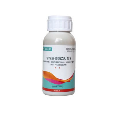 聚立信球孢白僵菌白粉虱杀虫剂