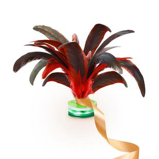 鸡毛带绳毽子儿童小学生运动专用比赛毽球一年级幼儿园系绳子羽毛